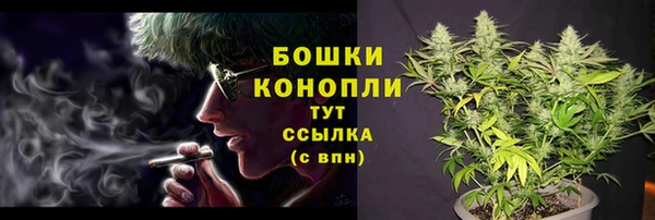 ешки Аркадак