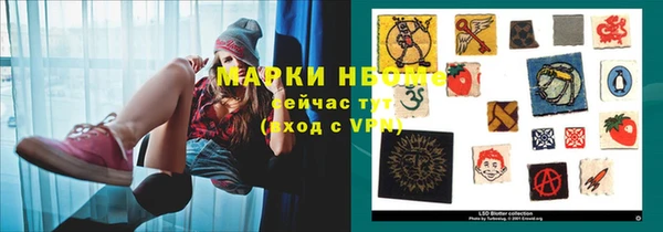 ешки Аркадак