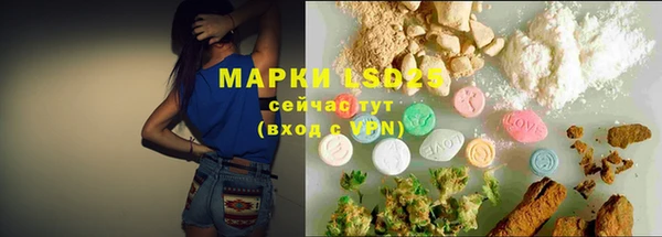 ешки Аркадак