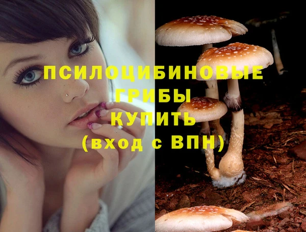 MDMA Баксан