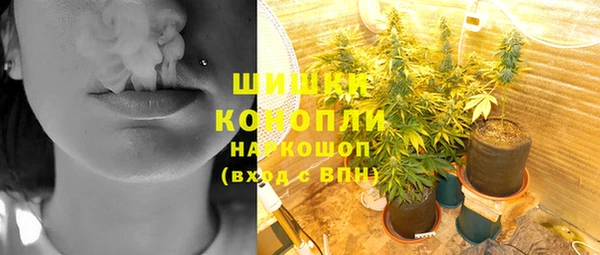 прущие крисы Арсеньев